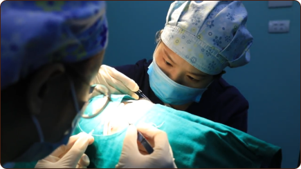 cấy ghép tóc y học