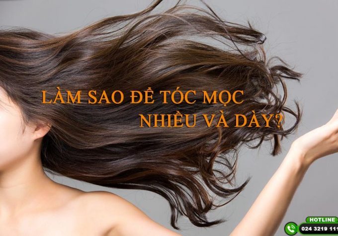 Làm sao để tóc mọc nhiều và dày? 10 cách giúp tóc mọc nhanh dễ áp dụng tại nhà 