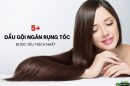 TOP 5 dầu gội ngăn ngừa rụng tóc cho nữ được ưu chuộng nhất