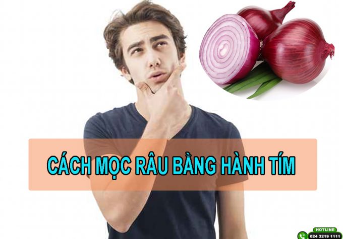 Mách bạn cách mọc râu bằng hành tím đơn giản tại nhà