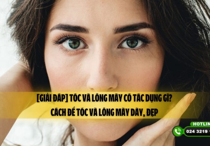 [Giải đáp] Tóc và lông mày có tác dụng gì? Cách để tóc và lông mày dày, đẹp 