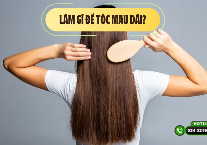 Làm gì để tóc mau dài? 5 cách tự chăm sóc mái tóc tại nhà hiệu quả giúp tóc mau dài 