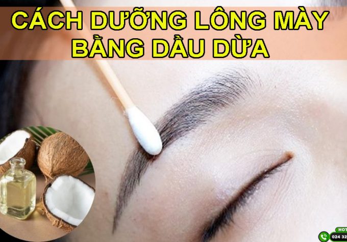 TOP 5 cách dưỡng lông mày bằng dầu dừa hiệu quả tại nhà