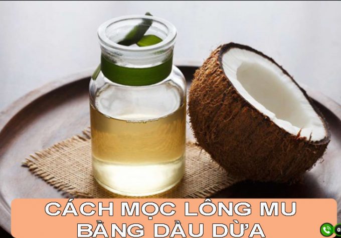 5 Cách mọc lông mu bằng dầu dừa đơn giản, dễ thực hiện