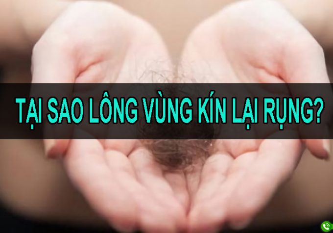 Tại sao lông vùng kín lại rụng? Chuyên gia giải đáp nguyên nhân và cách điều trị