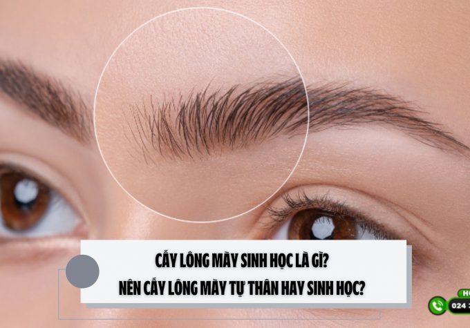 Cấy lông mày sinh học là gì? Nên cấy lông mày tự thân hay sinh học? 