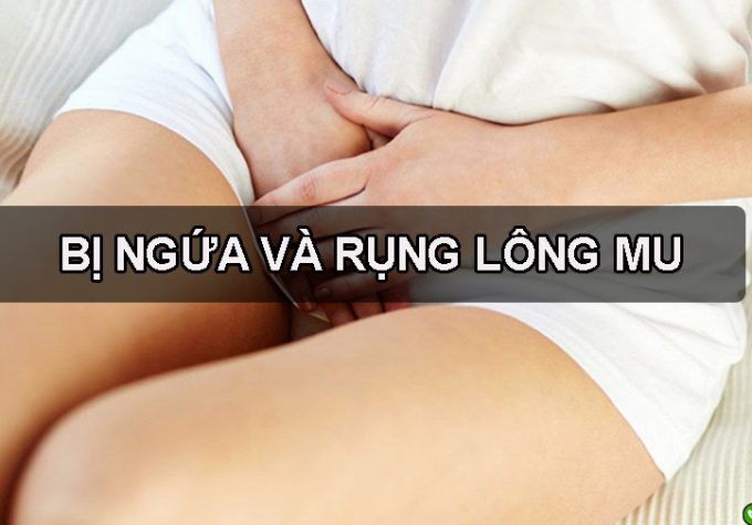 Tìm hiểu nguyên nhân khiến bạn bị ngứa và rụng lông mu