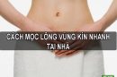 Mách bạn 7 cách mọc lông vùng kín nhanh cho nữ tại nhà đơn giản và hiệu quả nhất