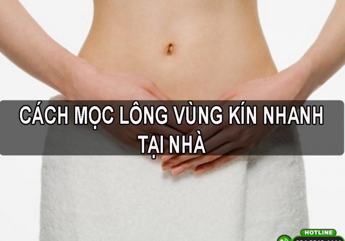 Mách bạn 7 cách mọc lông vùng kín nhanh cho nữ tại nhà đơn giản và hiệu quả nhất