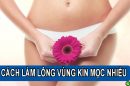 10 Cách làm lông vùng kín mọc nhiều và nhanh nhất