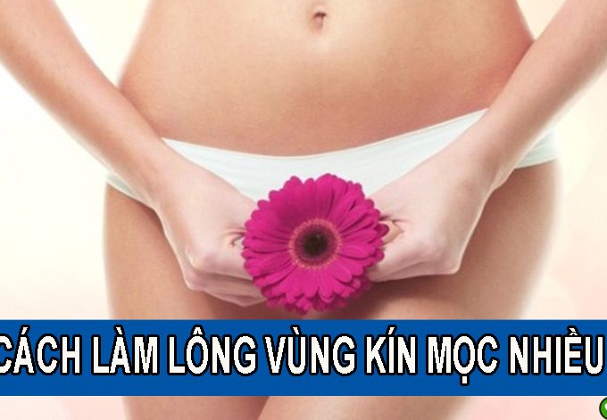 10 Cách làm lông vùng kín mọc nhiều và nhanh nhất