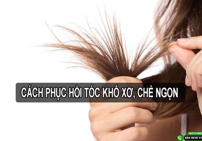 Hướng dẫn cách chăm sóc tóc khô xơ và chẻ ngọn trở nên suôn mượt