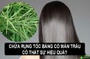 Chữa rụng tóc bằng cỏ mần trầu có thực sự hiệu quả?