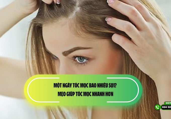 [Tìm hiểu] Một ngày tóc mọc bao nhiêu sợi? Mẹo giúp tóc mọc nhanh hơn
