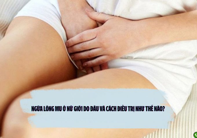 Ngứa lông mu ở nữ giới do đâu và cách điều trị như thế nào? 