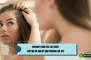 Hỏi đáp: Chân tóc là ở đâu? Cấu tạo và chu kỳ sinh trưởng của tóc