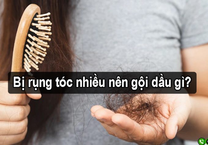 Góc tư vấn: Bị rụng tóc nhiều nên gội dầu gì?