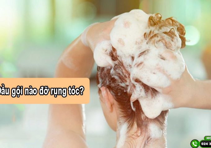Dầu gội nào đỡ rụng tóc? Top 7 dầu gội chống rụng tóc được ưa chuộng