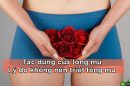 Giải mã tác dụng của lông mu và lý do không nên triệt sạch