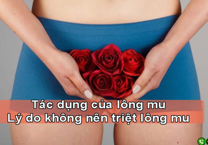 Giải mã tác dụng của lông mu và lý do không nên triệt sạch