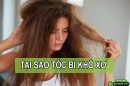 Tại sao tóc bị khô xơ? Cách dưỡng tóc mềm mượt đơn giản tại nhà