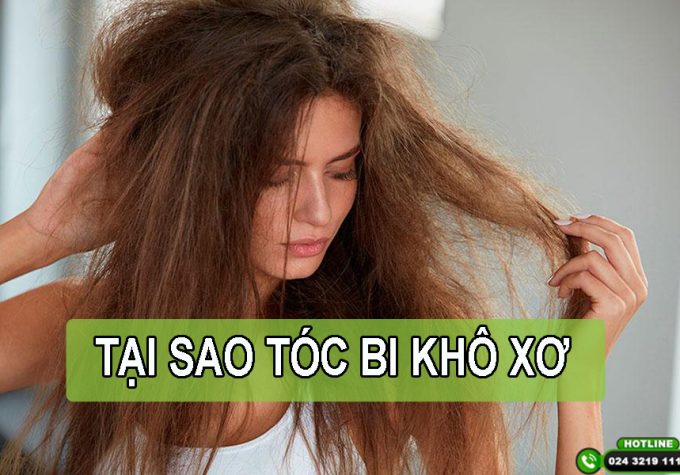 Tại sao tóc bị khô xơ? Cách dưỡng tóc mềm mượt đơn giản tại nhà