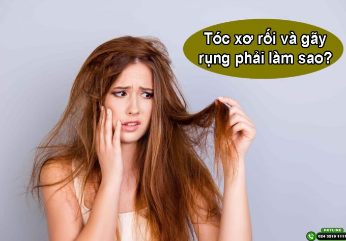 Tóc xơ rối và gãy rụng phải làm sao để điều trị hiệu quả?