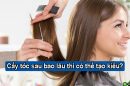 Giải đáp: Cấy tóc bao lâu thì có thể tạo kiểu?