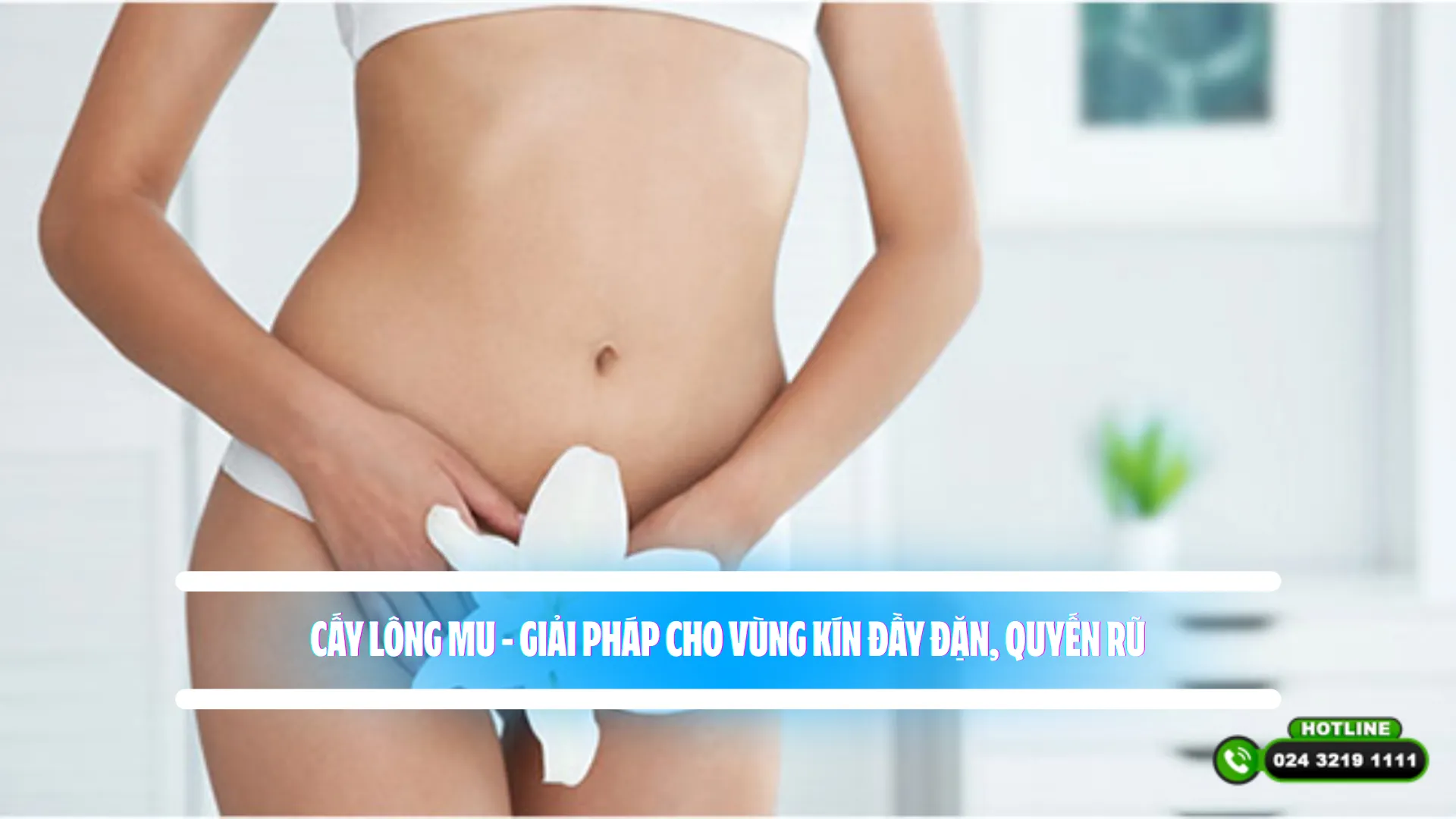 Cấy lông mu – Giải pháp cho vùng kín đầy đặn, quyến rũ