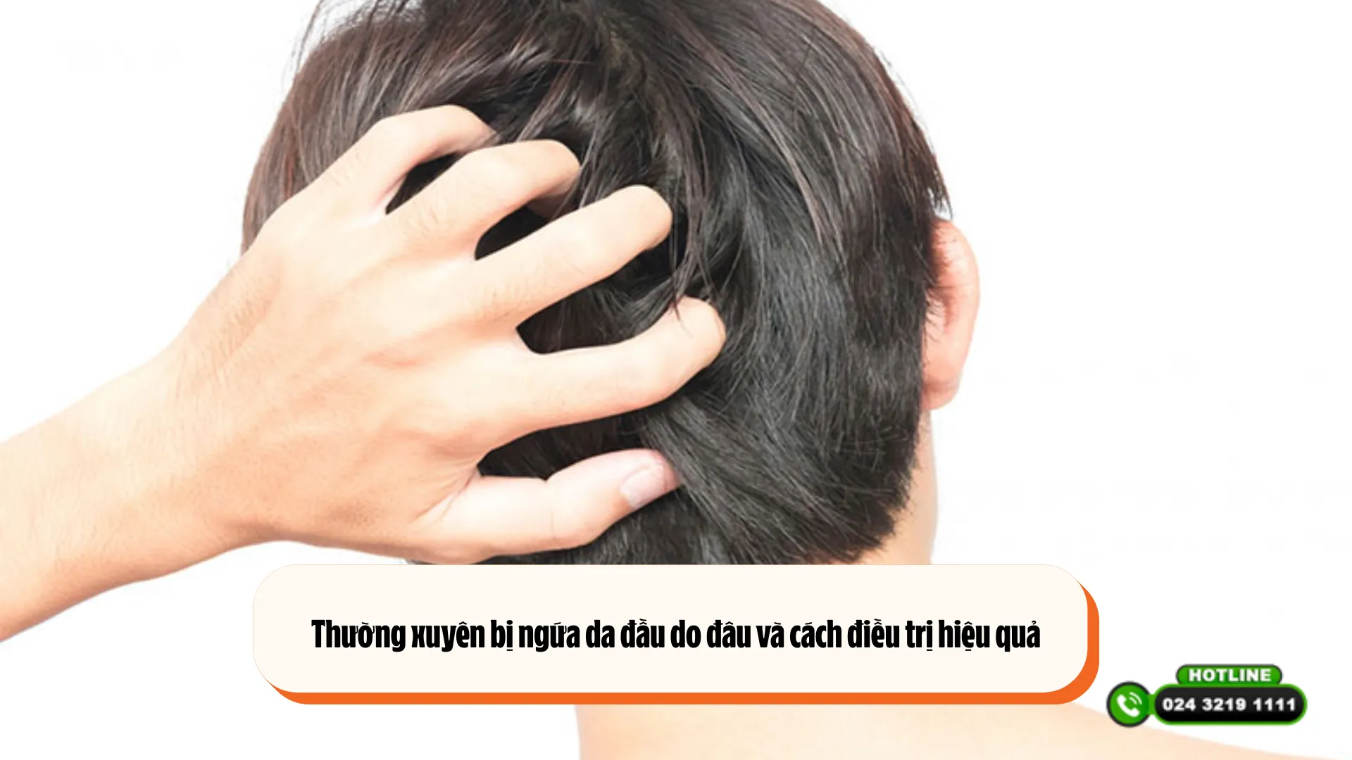 Thường xuyên bị ngứa da đầu do đâu và cách điều trị hiệu quả