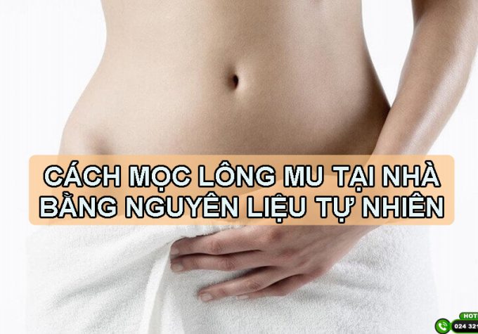 Hướng dẫn cách mọc lông mu tại nhà bằng nguyên liệu tự nhiên