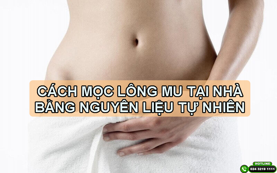 Hướng dẫn cách mọc lông mu tại nhà bằng nguyên liệu tự nhiên