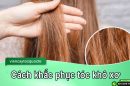 Cách phục hồi tóc khô xơ nhanh nhất không phải ai cũng biết