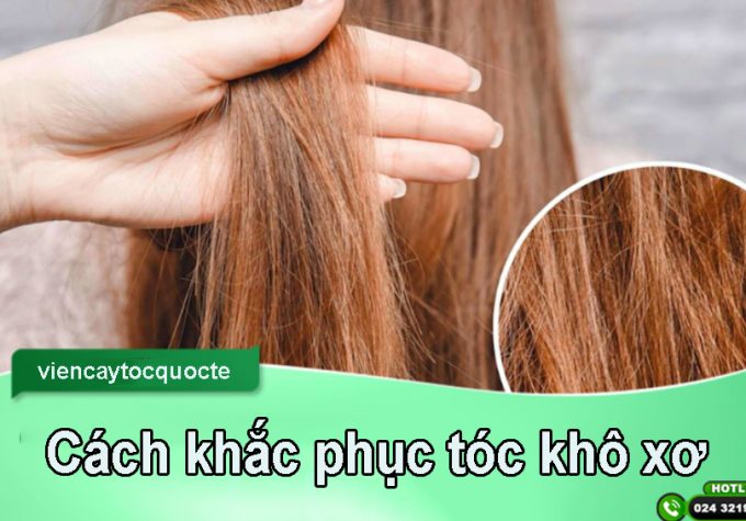 Cách phục hồi tóc khô xơ nhanh không phải ai cũng biết