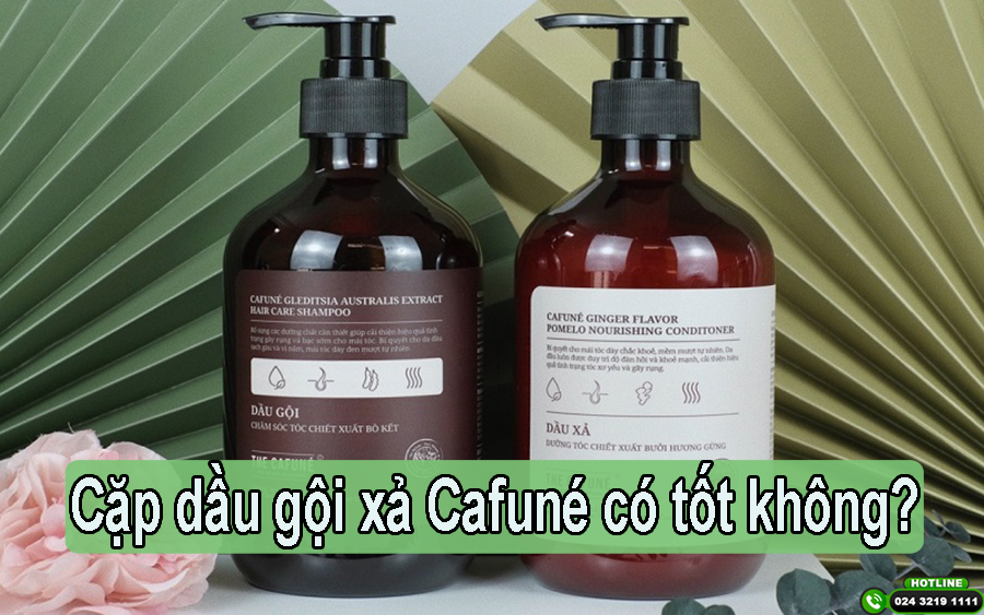 [Tìm Hiểu ] : Cặp dầu gội xả Cafuné có tốt không?