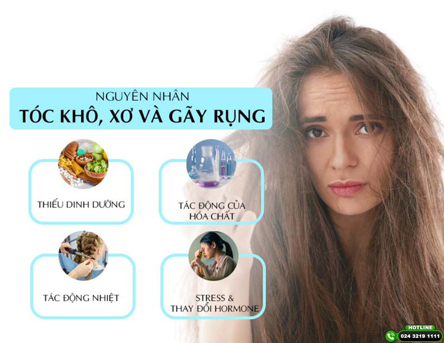 Nguyên nhân tóc gãy rụng, xơ yếu và cách chăm sóc