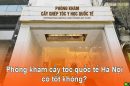 Đánh giá Phòng khám Cấy tóc Quốc tế Hà Nội có tốt không?