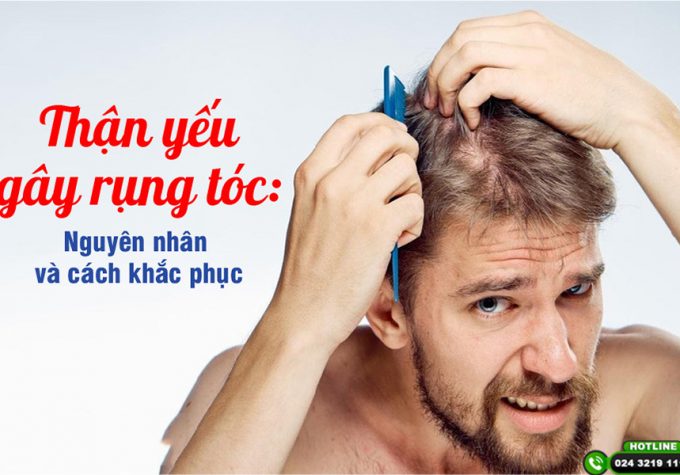 Tại sao thận yếu dẫn đến rụng tóc? Cách khắc phục hiệu quả