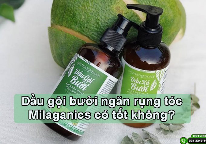Dầu gội bưởi ngăn rụng tóc Milaganics có tốt không? Đánh giá ưu – nhược điểm