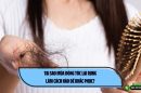 Tại sao mùa đông tóc lại rụng và làm cách nào để khắc phục? 