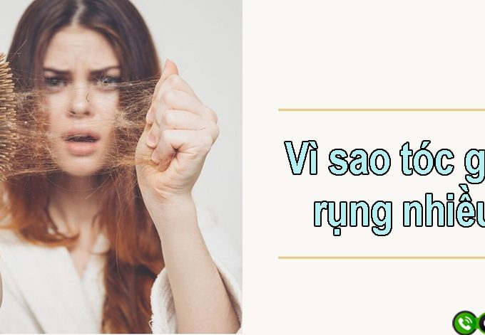 Vì sao tóc gãy rụng nhiều? 9 nguyên nhân thường gặp
