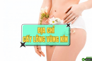 Top 3 địa chỉ cấy lông vùng kín uy tín tại Việt Nam