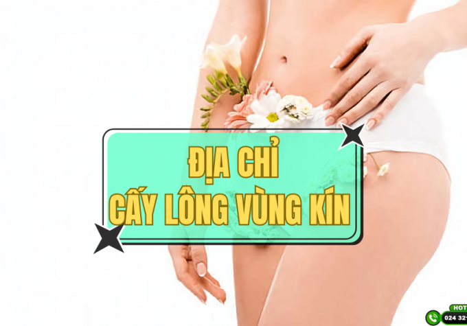 Top 3 địa chỉ cấy lông vùng kín uy tín tại Việt Nam