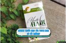 Review thuốc mọc tóc Youth Hair: Thành phần, công dụng, đánh giá từ người dùng