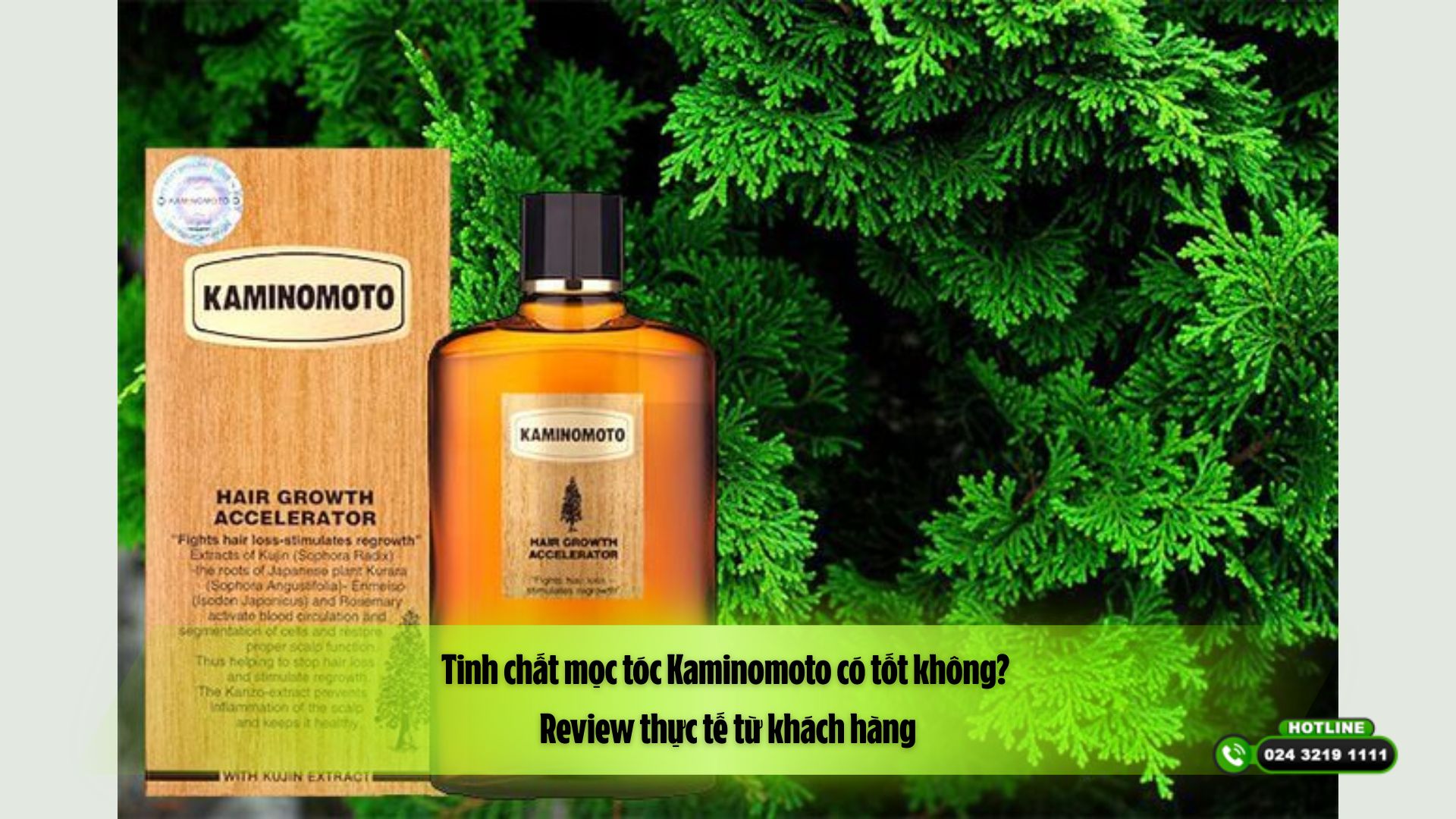 Tinh chất mọc tóc Kaminomoto có tốt không? Review thực tế từ khách hàng