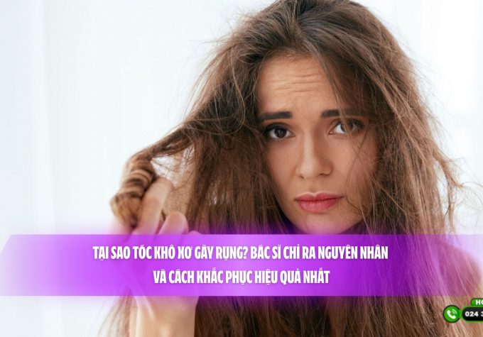 Tại sao tóc khô xơ gãy rụng? Bác sĩ chỉ ra nguyên nhân và cách khắc phục hiệu quả nhất