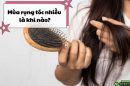 Mùa tóc rụng nhiều là khi nào và bí quyết chăm sóc tóc chắc khỏe khi vào mùa
