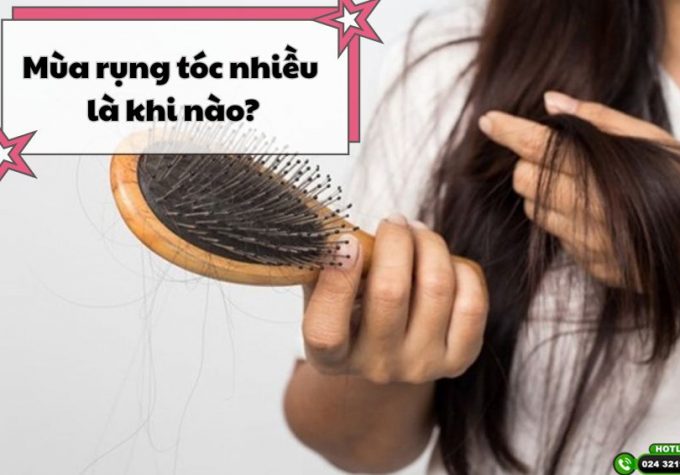 Mùa tóc rụng nhiều là khi nào và bí quyết chăm sóc tóc chắc khỏe khi vào mùa