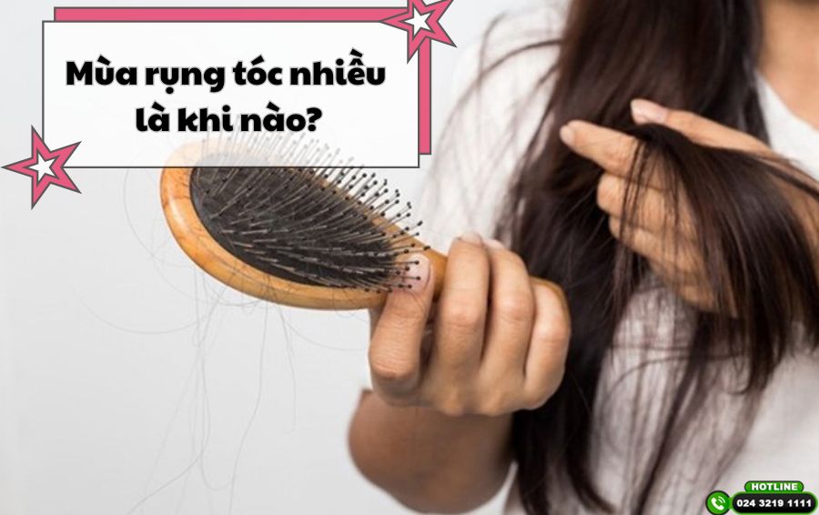 Mùa tóc rụng nhiều là khi nào và bí quyết chăm sóc tóc chắc khỏe khi vào mùa