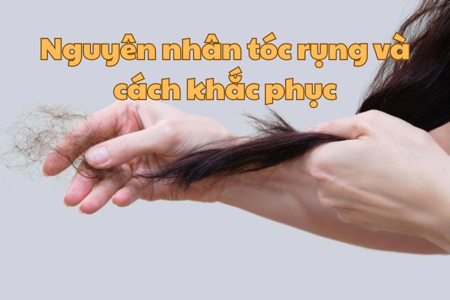 Nguyên nhân tóc rụng và cách khắc phục hiệu quả mà bạn không nên bỏ qua